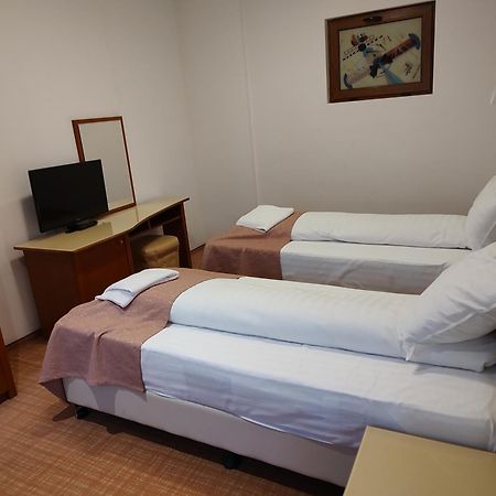Hotel Dana 2 Сату-Маре Екстер'єр фото